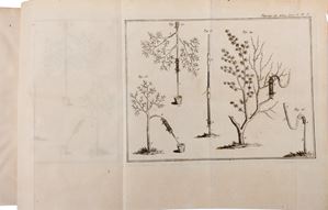 Henri Louis Duhamel du Monceau - La Physique des Arbres; which is the traité of the Anatomy of Plants and of the Vegetable Economy