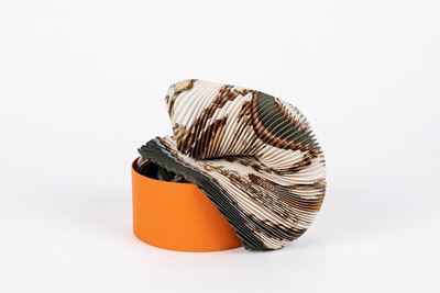 Foulard Plissé Voitures De Dames