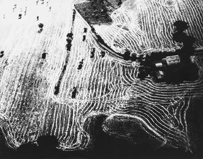 Presa di coscienza sulla natura, Stampa successiva alla gelatina ai sali d'argento