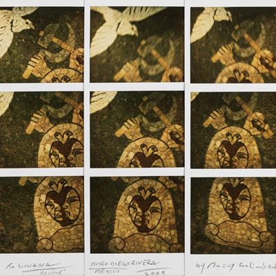 Museo Diego Rivera, Mexico - Nove polaroid montate a mosaico