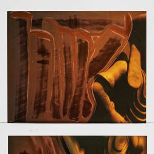 Museo di Storia Naturale del Messico