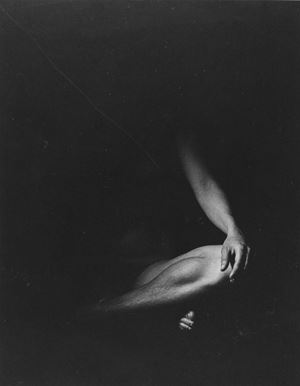 Arm, Hand, Leg and Foot