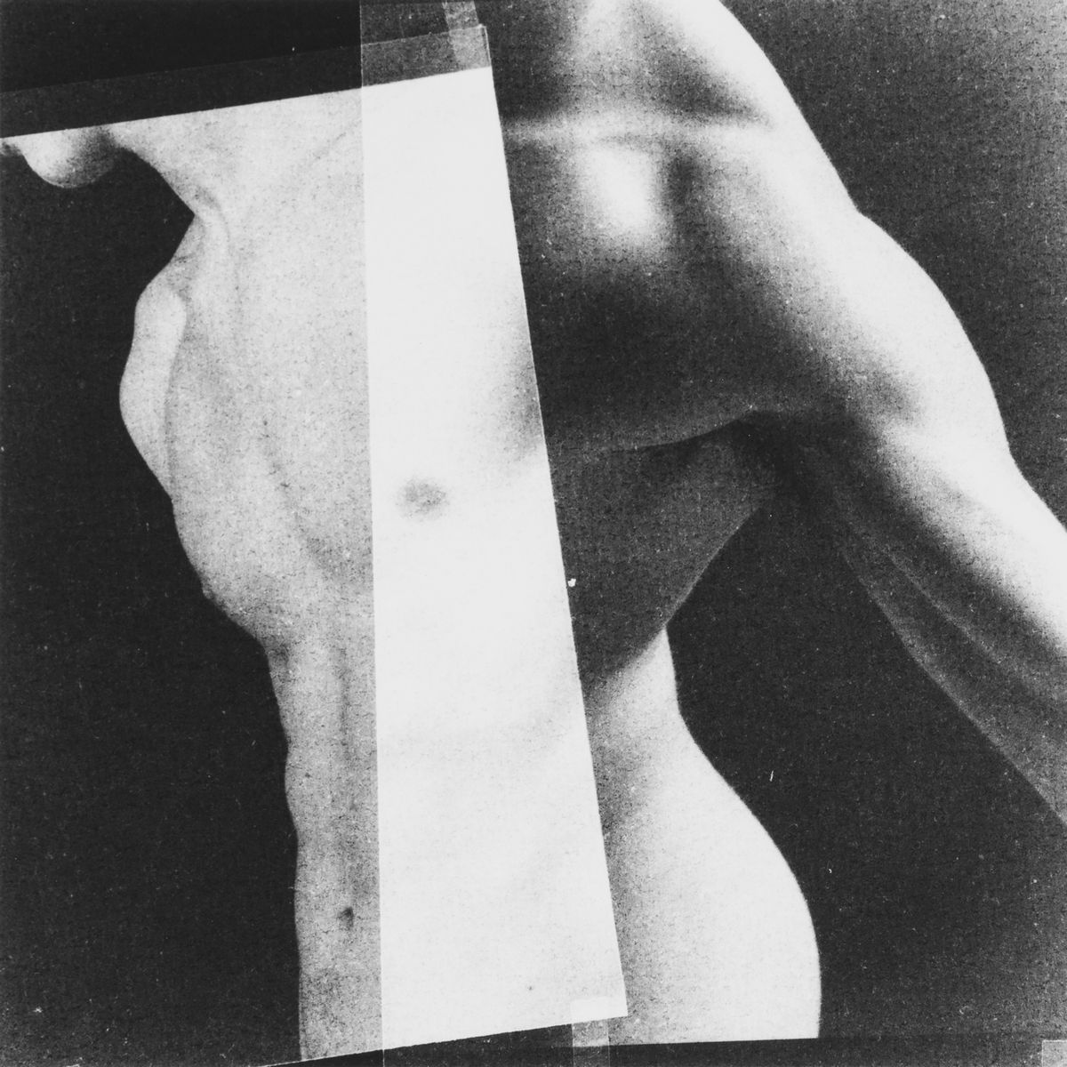 Luca Fregoso - Senza Titolo