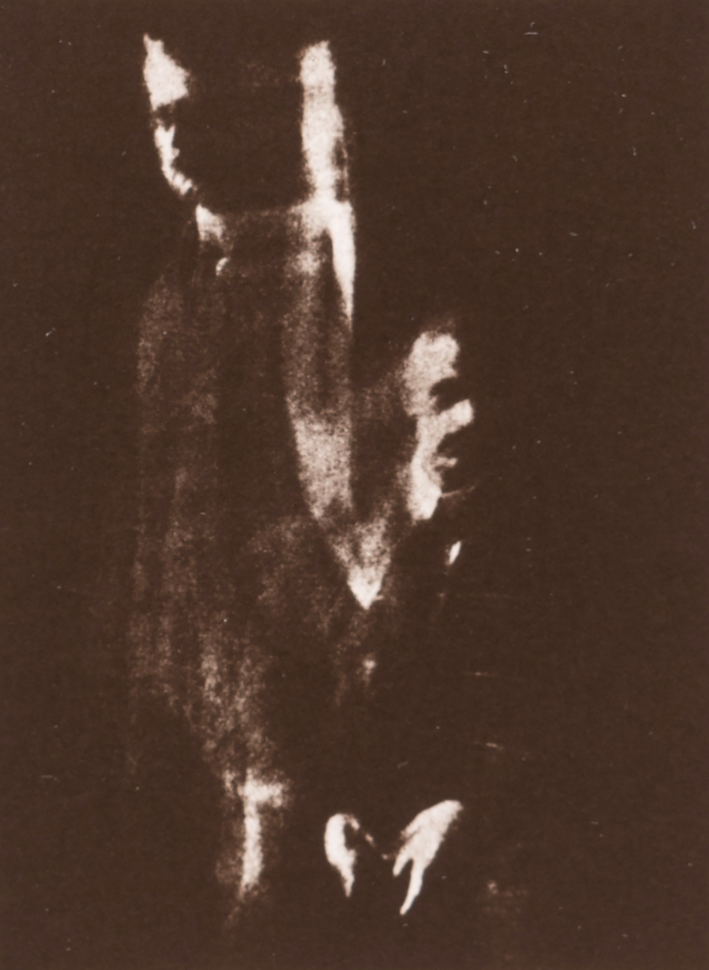 Anton Giulio Bragaglia - Fotodinamismo Futurista - 16 stampe gelatiniche in cofanetto originale