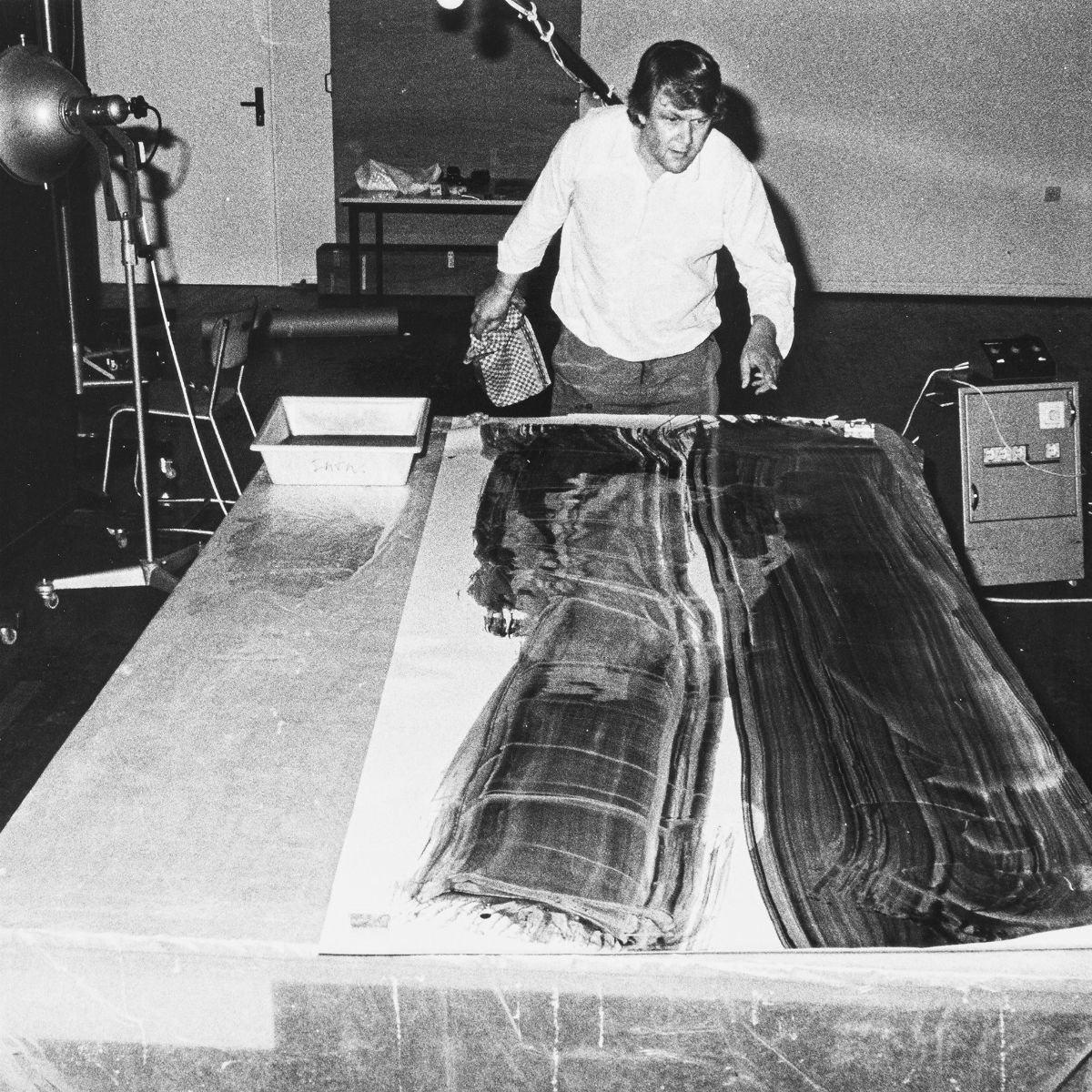 Floris Michael Neusüss, Dieter Schwerdtle - Fotogramme