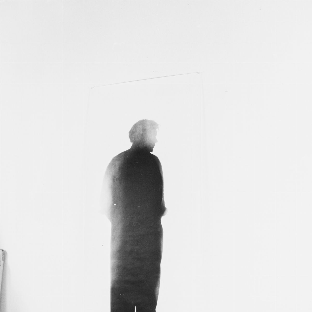Floris Michael Neusüss, Dieter Schwerdtle - Fotogramme