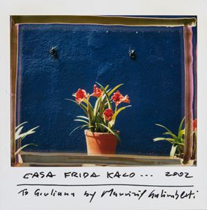 Casa Frida Kalo