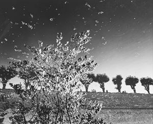 Jodice Mimmo - Sully Sur La Loire