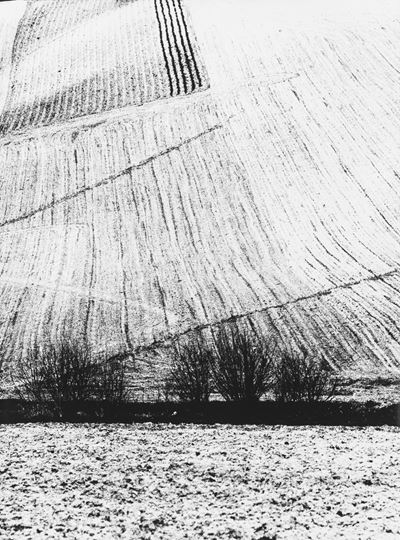 Presa di coscienza sulla natura, stampa vintage alla gelatina ai sali d'argento