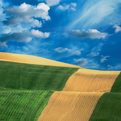 Senza titolo (Paesaggio) - Stampa a getto d'inchiostro, 2000