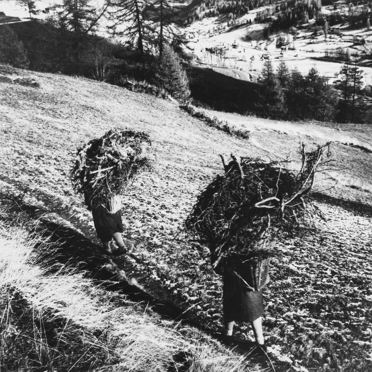Gianfranco Bini - Senza Titolo (paesaggio Alpino)