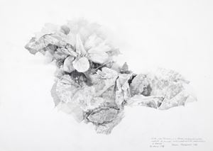 Composizione floreale