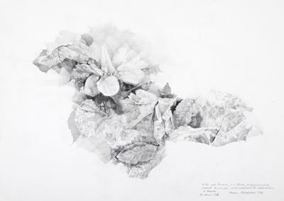 Composizione Floreale