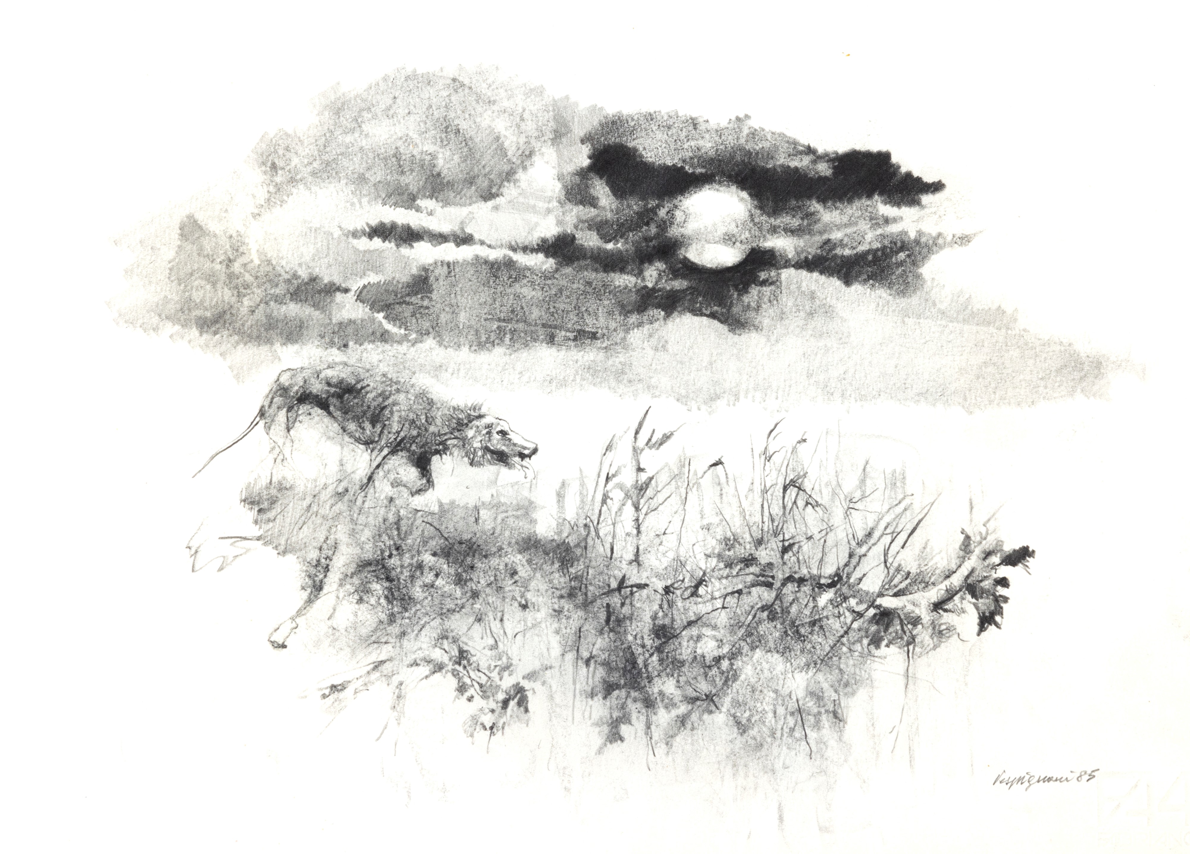 Album - Le ore per Rossana