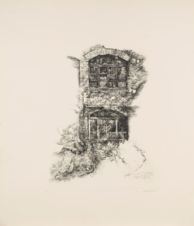 Rovine con Cane