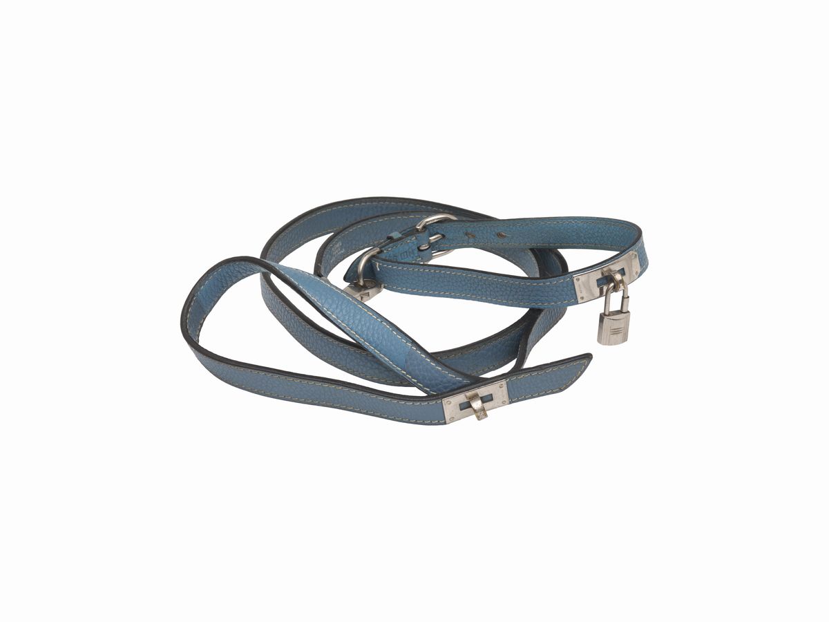 Hermes dog hotsell collar and leash