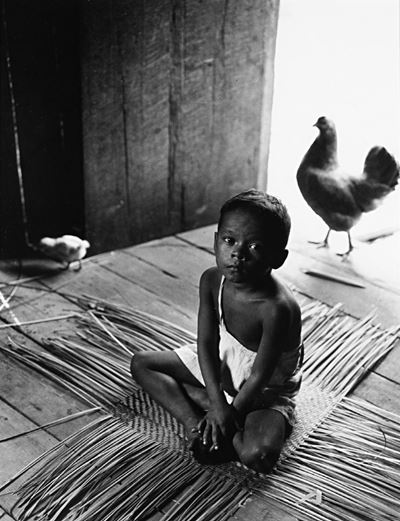 Amazonas - Brasil