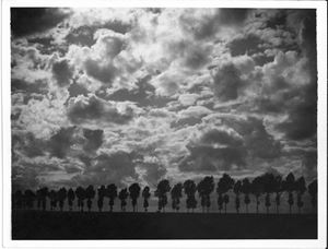 Declin du jour sur la grande route