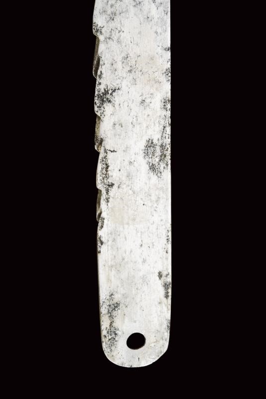 Spada a sega per falegnami di fanteria, Regno di Sardegna, 1845