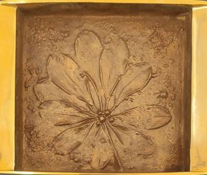 Pianta della fortuna