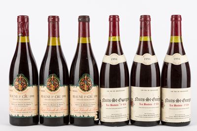 Borgogna Premier Cru (6 Bt)