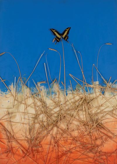 Un giorno di mezza estate, collage
