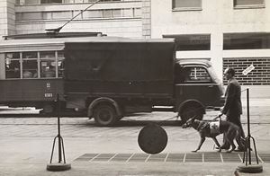 Il cane accompagna il sig. Brambilla Pisoni al suo ufficio