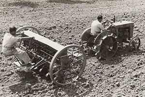 Lavoro nei campi, Langhe