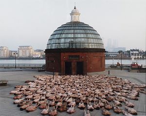 Saatchi Gallery Installation