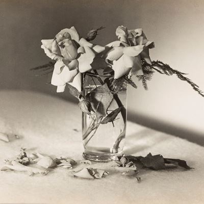 Quelque rose sur... (Stampa vintage alla gelatina ai sali d'argento, anni 1940)