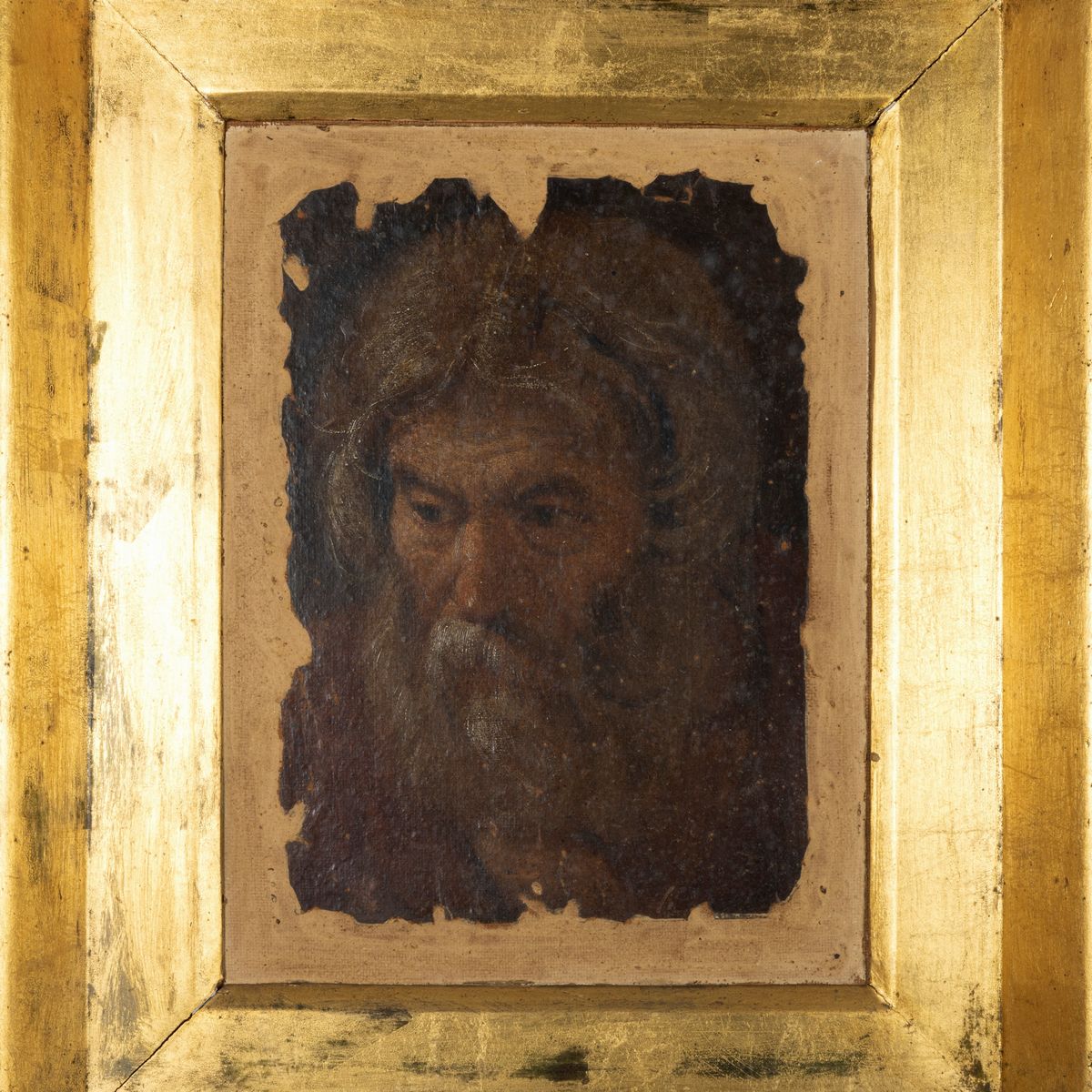 Scuola Italiana, Secolo XVII - Studio per Testa di Vecchio Profeta o Apostolo