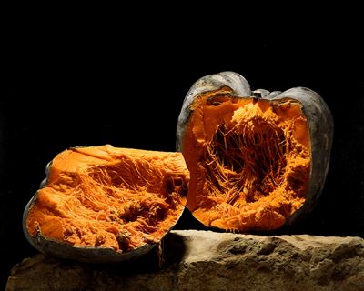 Zucca