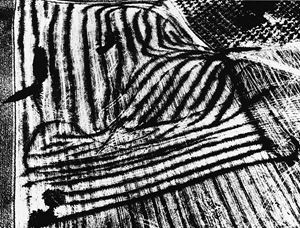 Presa di coscienza sulla natura