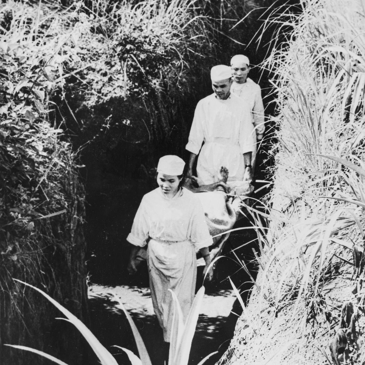 Anonimo - Vietnam