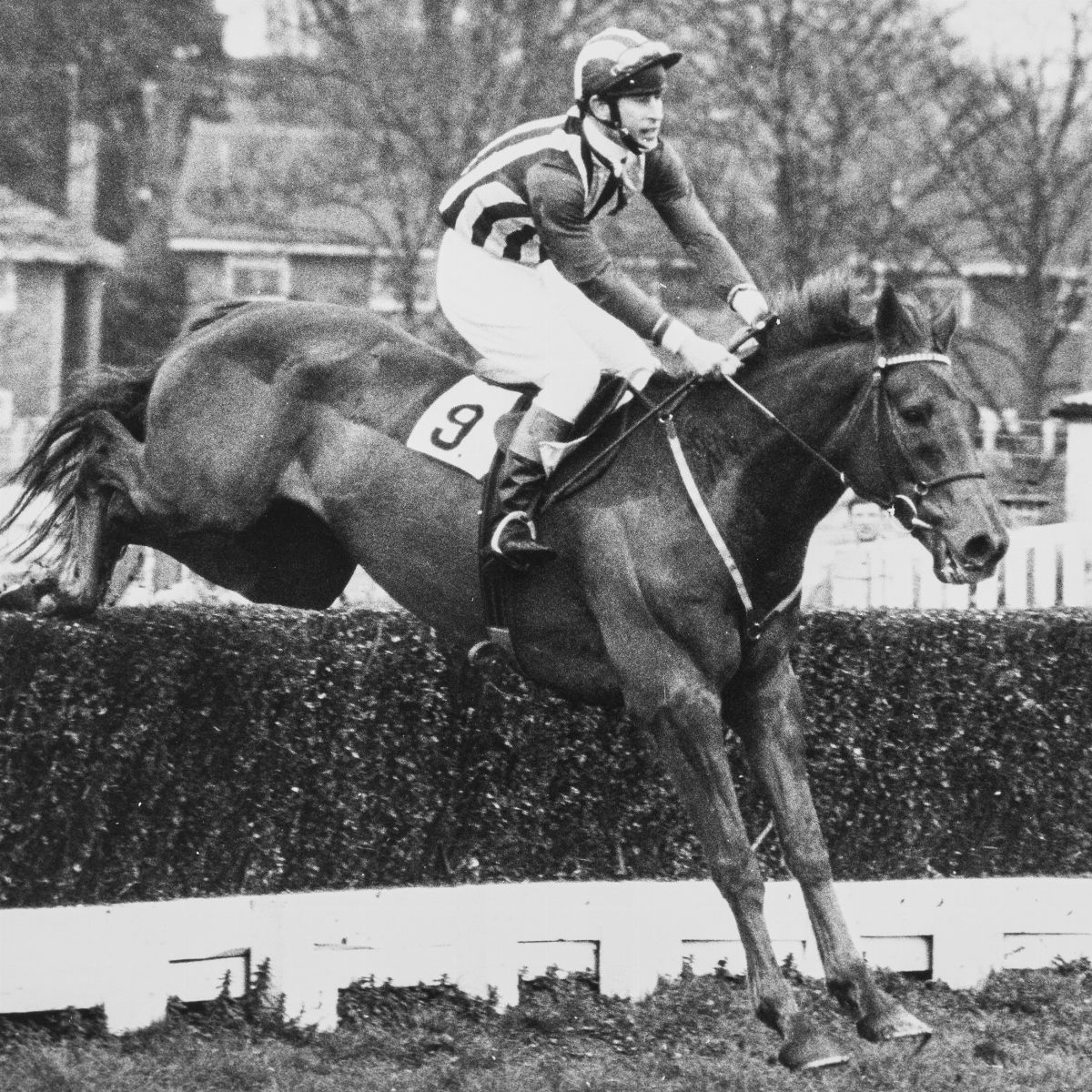 Anonimo - Royal Shooting, Prince Charles