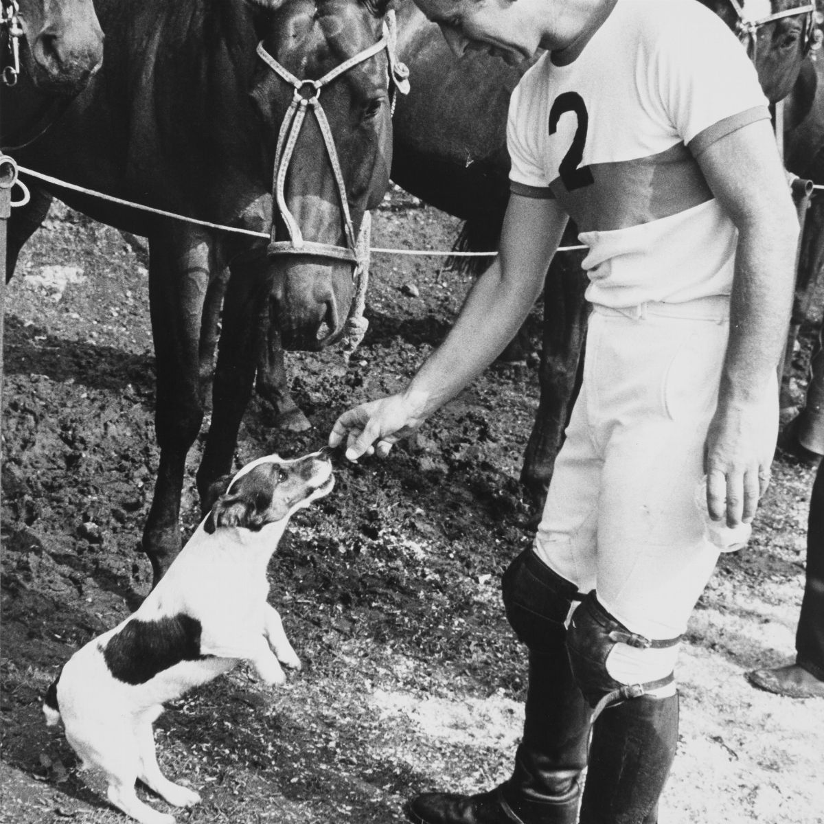 Anonimo - Royal Horse Racing, Prince Charles