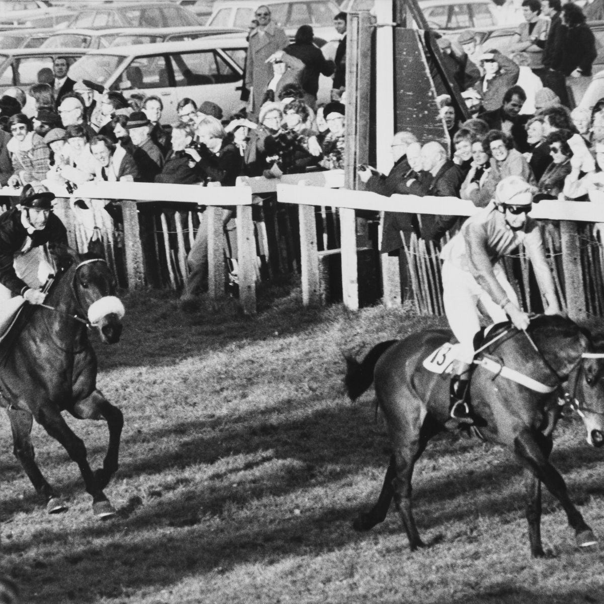 Anonimo - Royal Horse Racing, Prince Charles