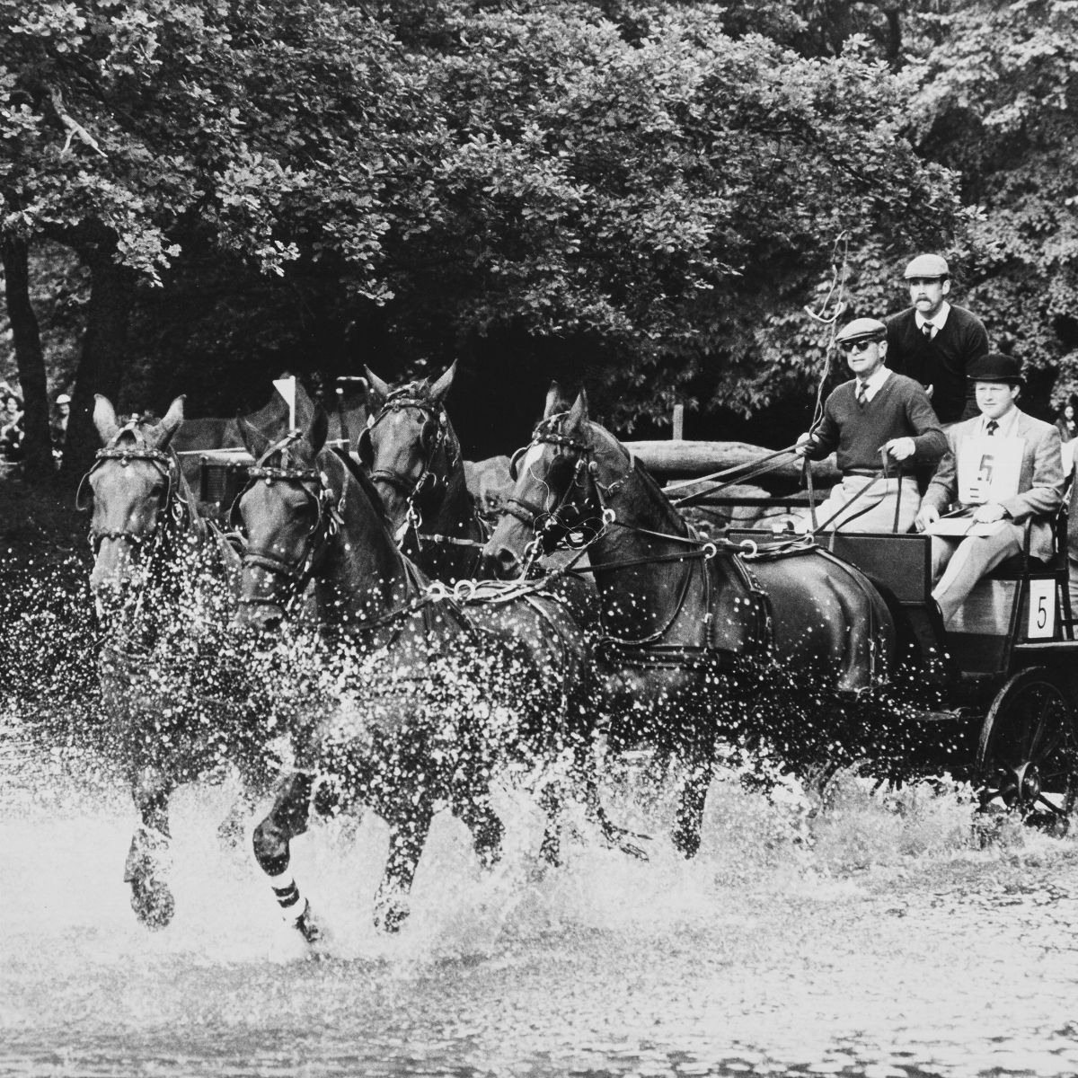 Anonimo - Royal Horse Racing, Prince Charles