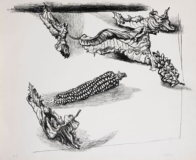 Foglie e Granturco