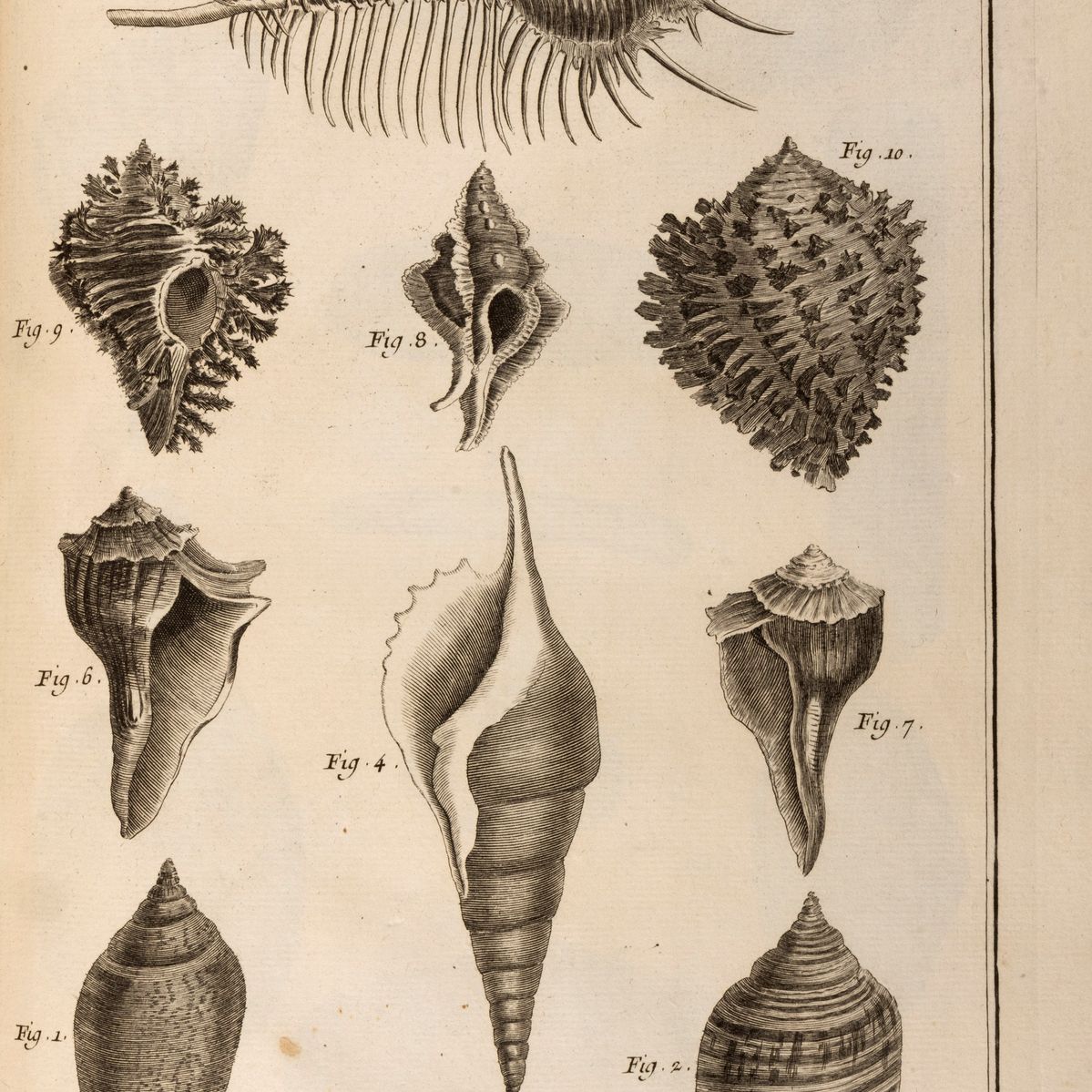 Diderot, Denis - D'alembert, Jean-baptiste le Rond - Encyclopédie, ou Dictionnaire raisonné des s...