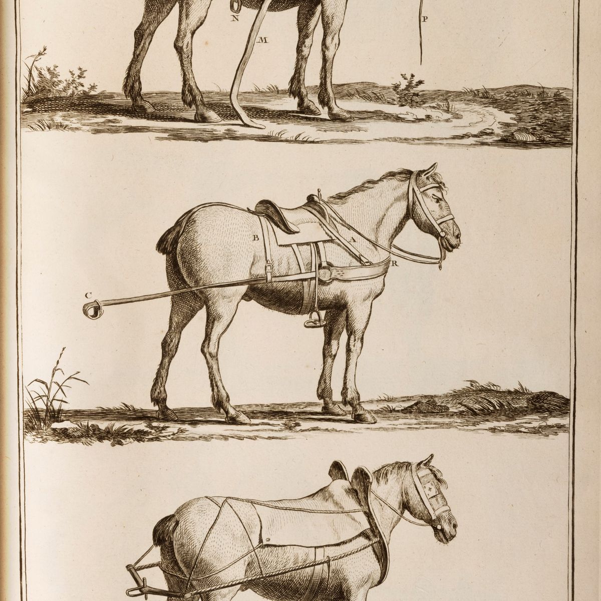 Diderot, Denis - D'alembert, Jean-baptiste le Rond - Encyclopédie, ou Dictionnaire raisonné des s...
