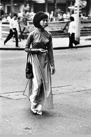 Vietnam du Sud population