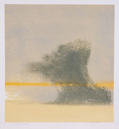 L'albero Piegato Prima del Tramonto