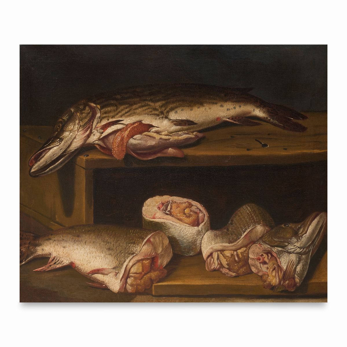 Scuola Emiliana, Fine Secolo XVII - Inizio Secolo XVIII - Natura Morta con Teste di Vitello e Ver...