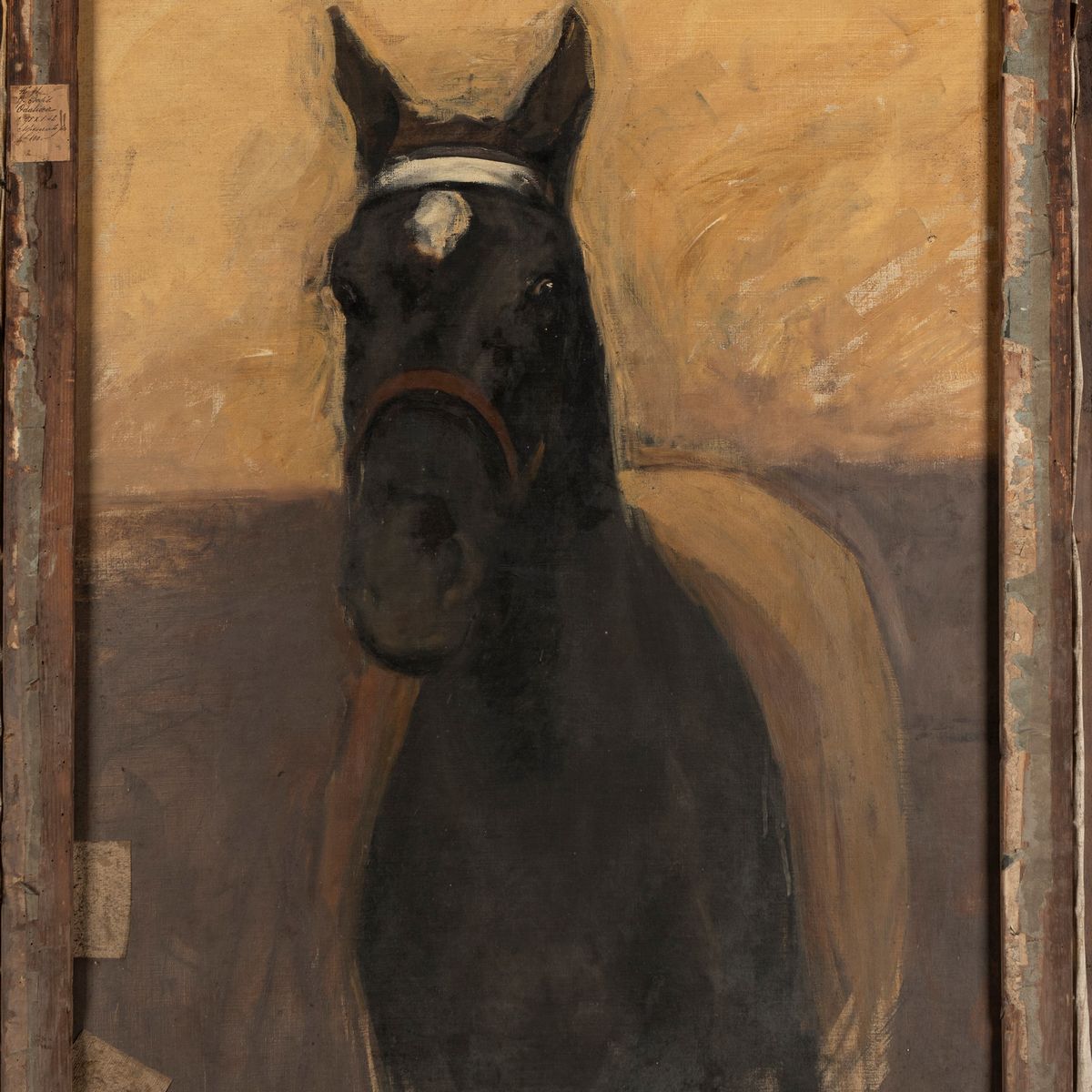 Giacomo Bosis - Odalisca