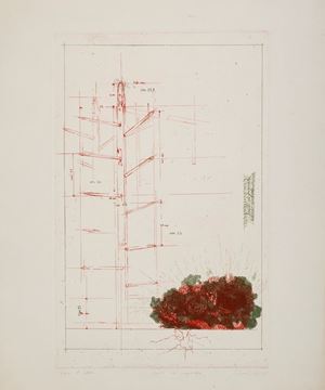 Limite di proprietà