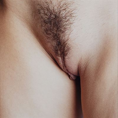 Senza Titolo (pussy)