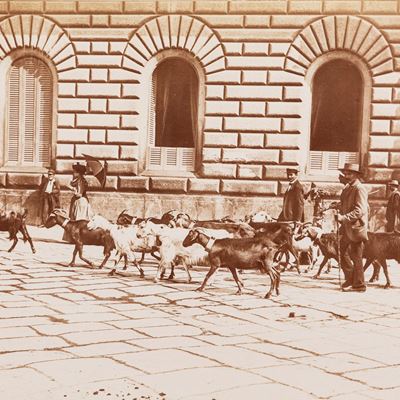 La Vita nelle Strade di Napoli
