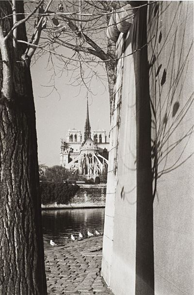 Paris, Notre Dame