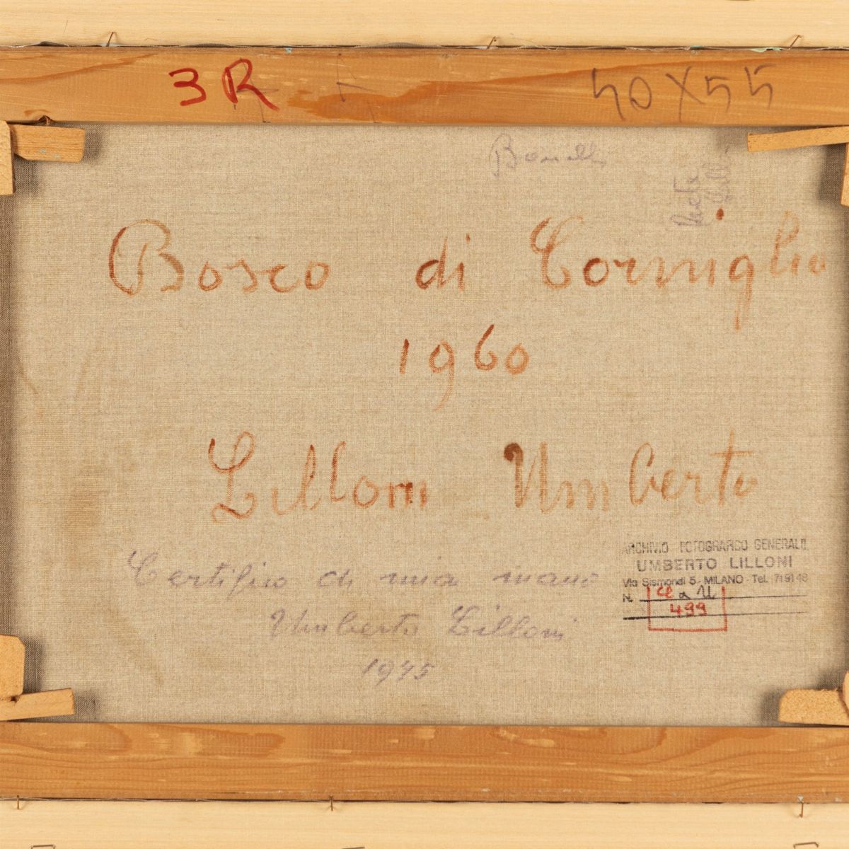 Umberto Lilloni - Bosco di Corniglio